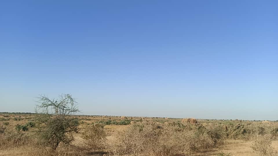 Jigawa project impact